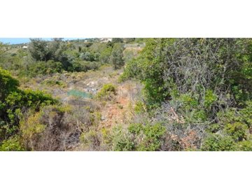 id04297d01-0000-0500-0000-00001328a890