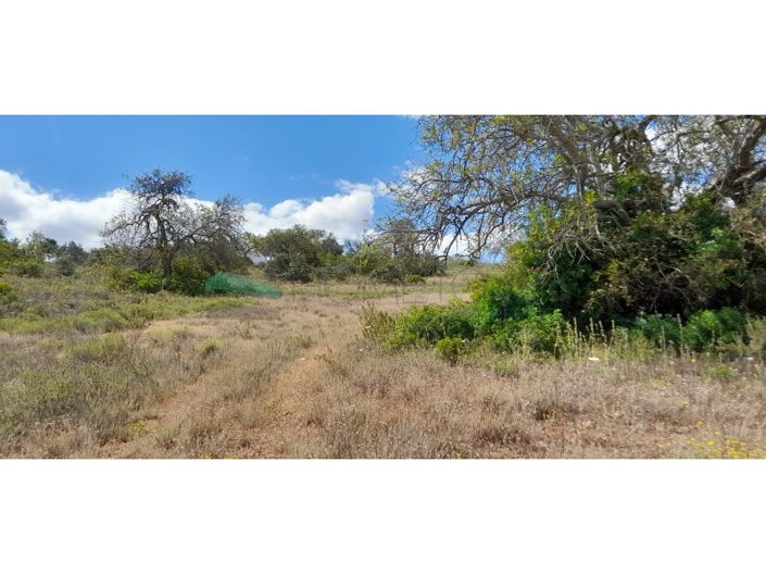 Image No.4-Terrain à vendre à Loule