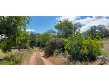 id04297d01-0000-0500-0000-00001328a892