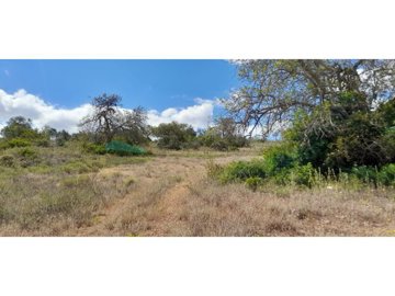 id04297d01-0000-0500-0000-00001328a893