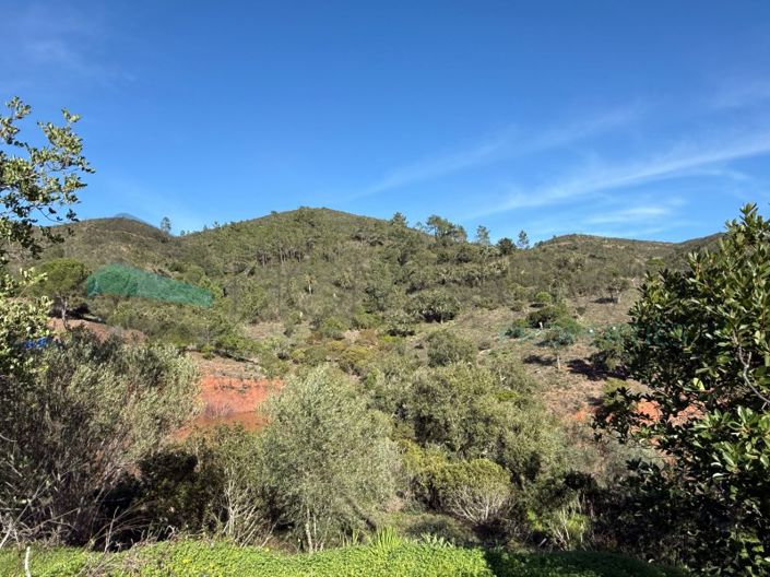 Image No.24-3 Bed House for sale