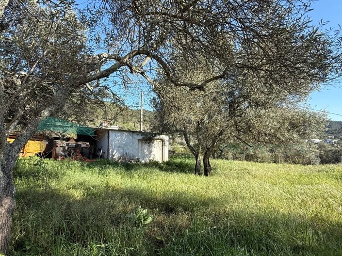 Image No.29-3 Bed House for sale