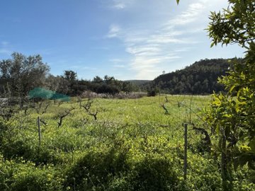 id8d5c8701-0000-0500-0000-0000144ca242