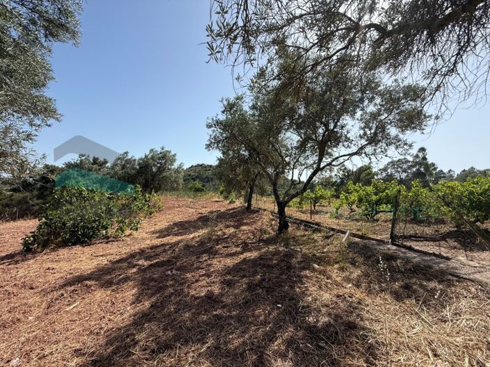 Image No.34-3 Bed House for sale