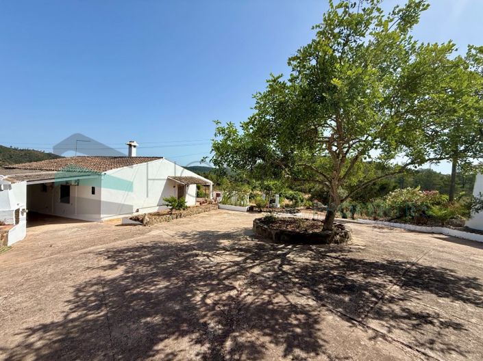 Image No.41-3 Bed House for sale