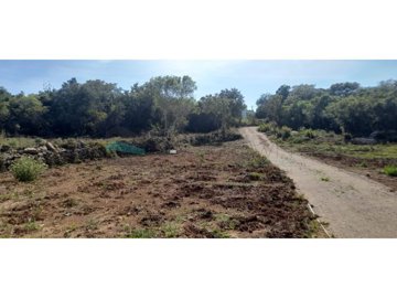 id939a9a01-0000-0500-0000-0000157f7939