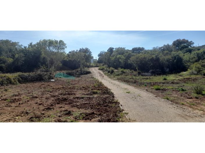 Image No.16-Plot for sale