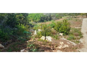 id939a9a01-0000-0500-0000-0000157f7935