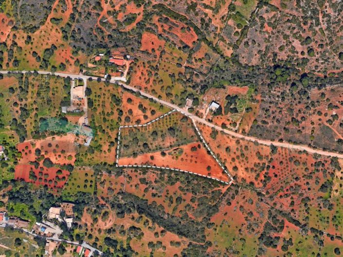 Image No.3-Plot for sale