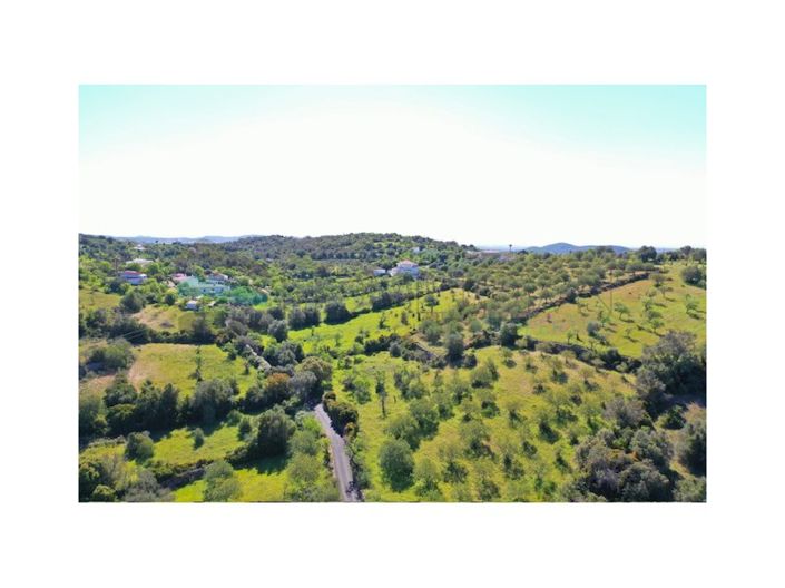 Image No.4-Plot for sale