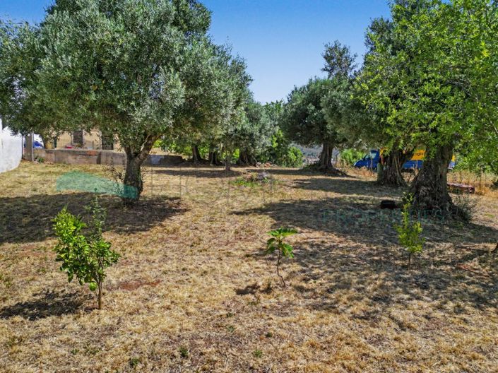 Image No.12-Plot for sale