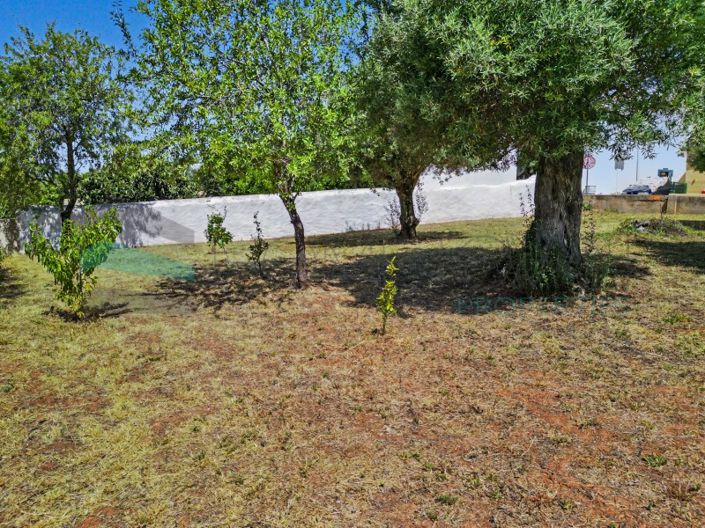 Image No.13-Plot for sale