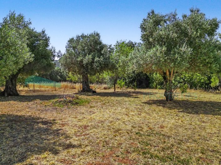 Image No.14-Plot for sale