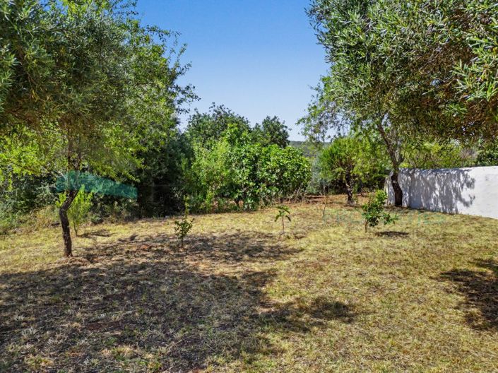 Image No.16-Plot for sale