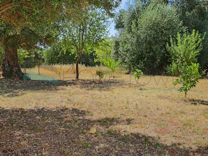 Image No.2-Plot for sale
