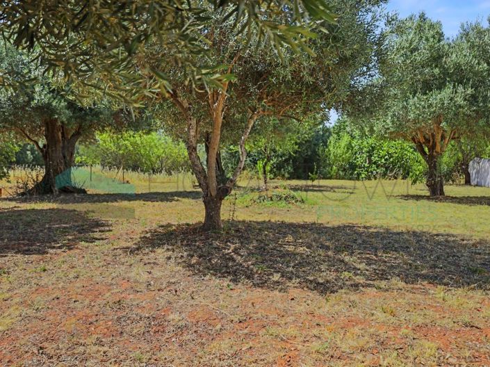 Image No.5-Plot for sale