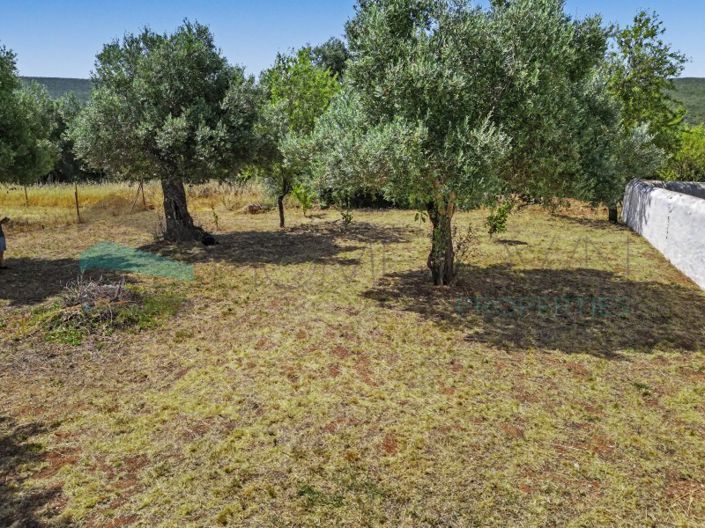 Image No.6-Plot for sale