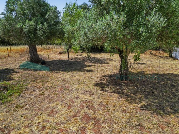 Image No.8-Plot for sale