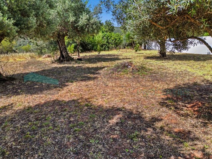 Image No.9-Plot for sale