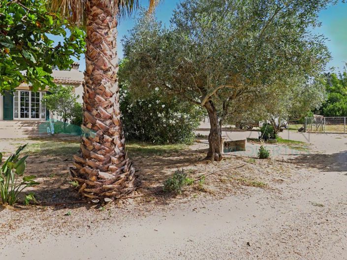 Image No.28-3 Bed House for sale