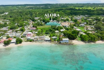 alora-ext-aerial-2-after-mark-1-1170x785