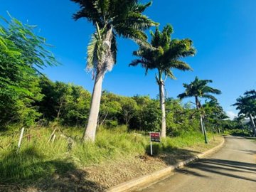 1 - Bridgetown, Maison