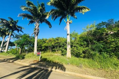barbados-property-for-sale-heron-mill-estate-