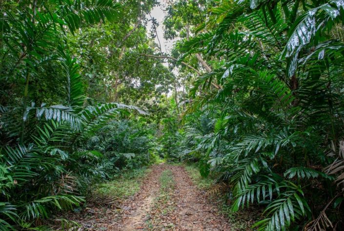 Image No.22-Villa de 4 chambres à vendre à Bridgetown