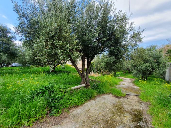 Image No.4-5 Bed Commercial for sale