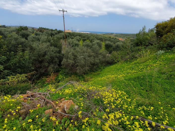 Image No.5-5 Bed Commercial for sale