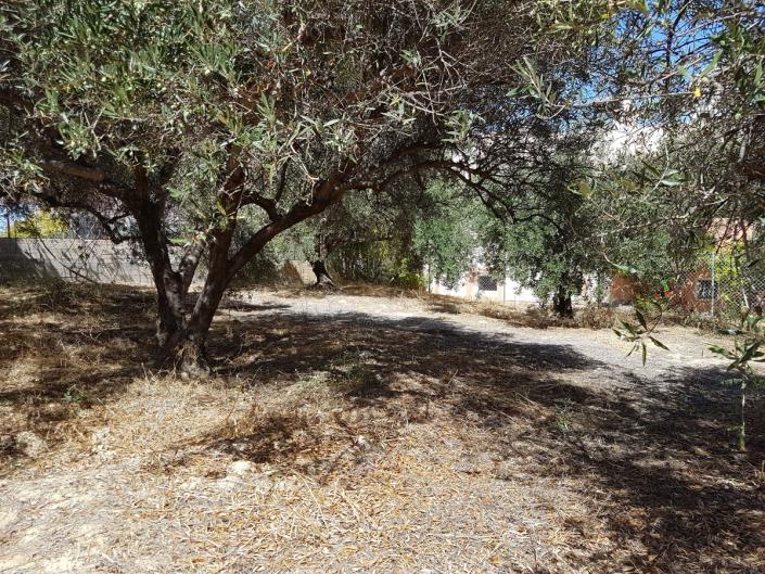 Image No.26-Maison / Villa de 3 chambres à vendre à Gouves