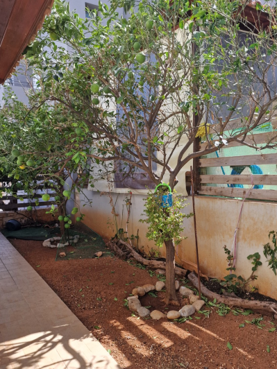 Image No.8-4 Bed House for sale