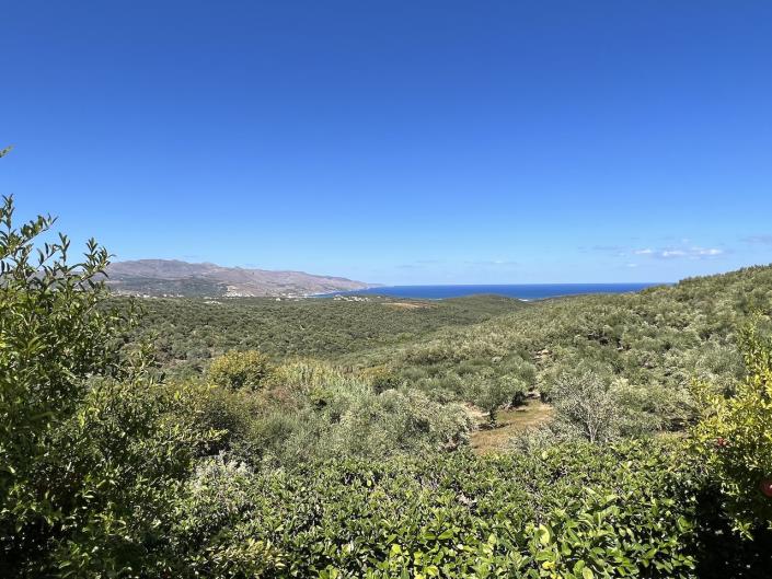 Image No.30-4 Bed House/Villa for sale