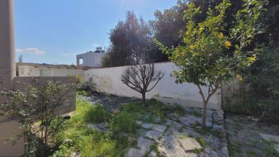 IMG_BDE63CE883AD-4