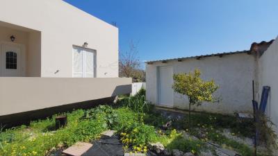 IMG_BDE63CE883AD-11