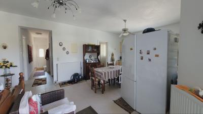 IMG_BDE63CE883AD-15