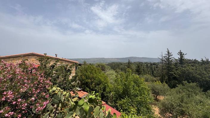 Image No.34-Maison / Villa de 5 chambres à vendre à Vrysses