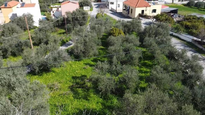 Image No.4-3 Bed House for sale