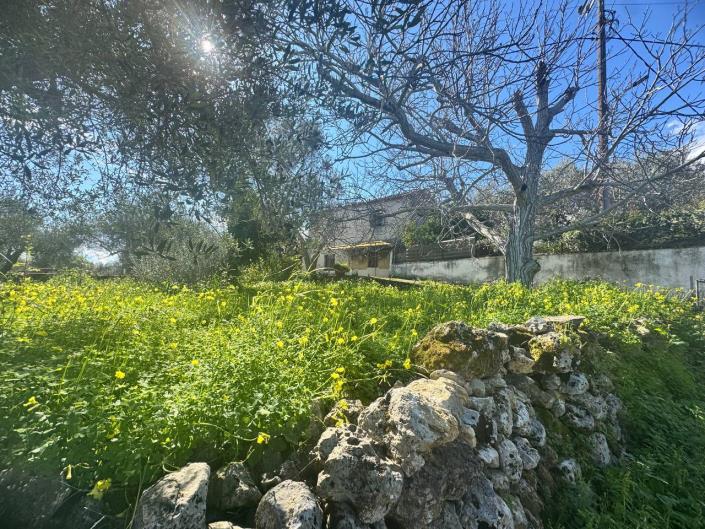 Image No.13-3 Bed House for sale