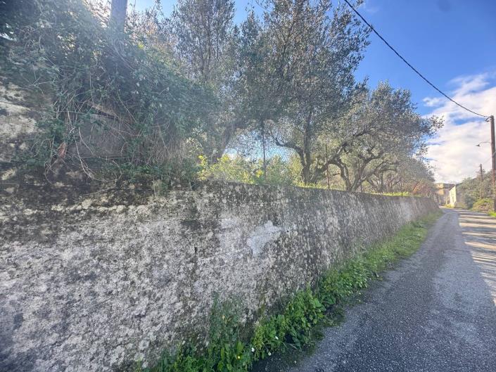 Image No.15-3 Bed House for sale