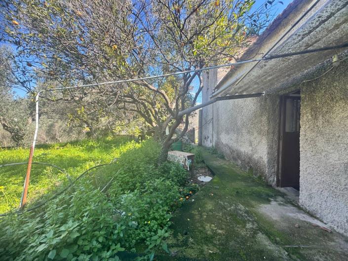 Image No.16-3 Bed House for sale