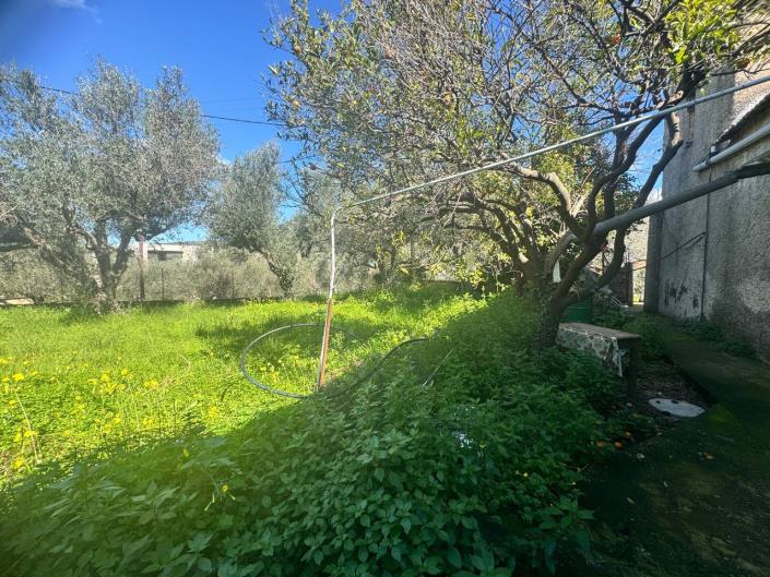 Image No.17-3 Bed House for sale