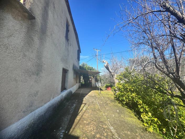 Image No.56-3 Bed House for sale