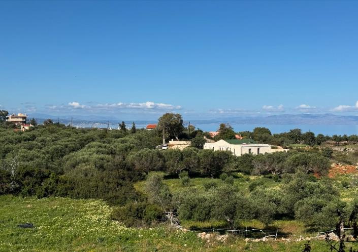 Image No.3-1 Bed Apartment for sale