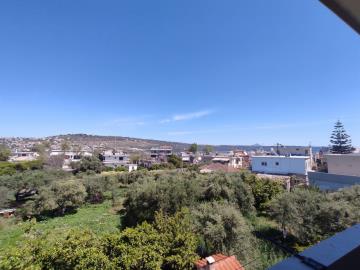 IMG-20250414-WA0011