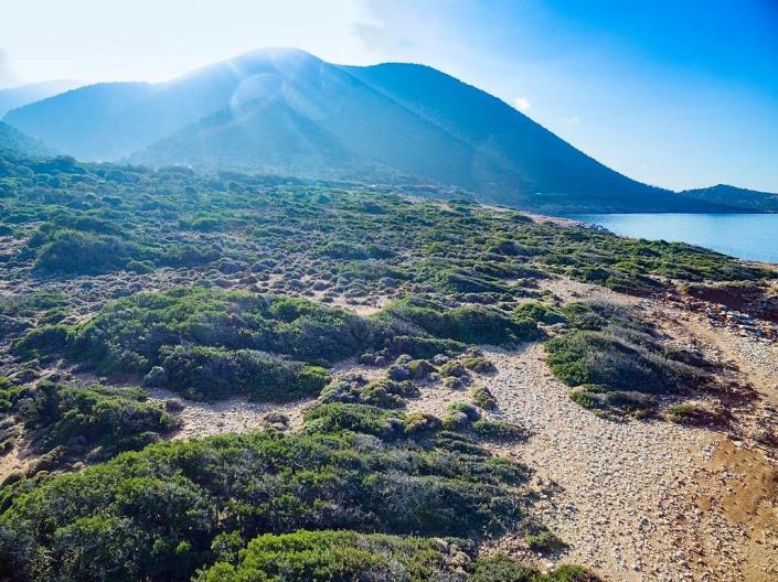 Image No.9-Terre à vendre à Héraklion