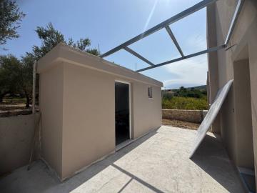 Image-8
