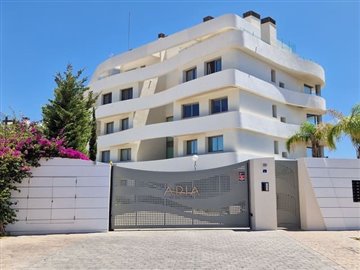 x-213965149
