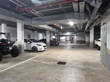 x-213965174