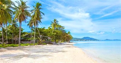 koh-samui-beachfront-land-for-sale-hua-thanon